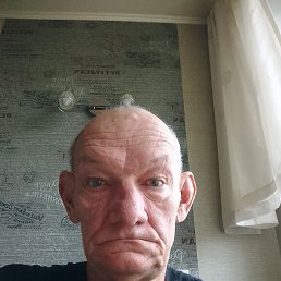, 61 , 
