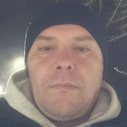 �������, ���������, 41 ���