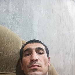 , 33, 