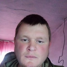 �����, 39 ���, �������