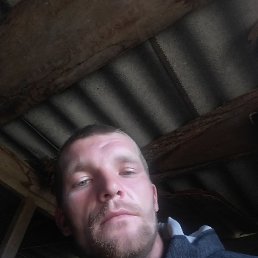 ������, ������-�������, 36 ���