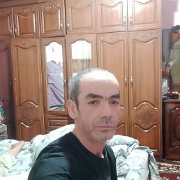 , 44, 