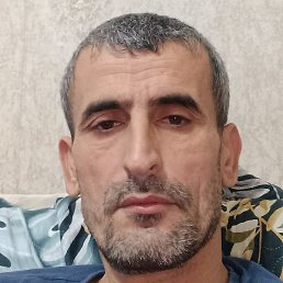 �����, ������, 41 ���