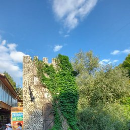 ���� �����, ������, 51 ��� - ��������� 16 ������ 2026