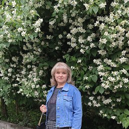 , 57, 