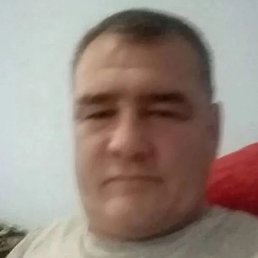 �����, ������������, 49 ���