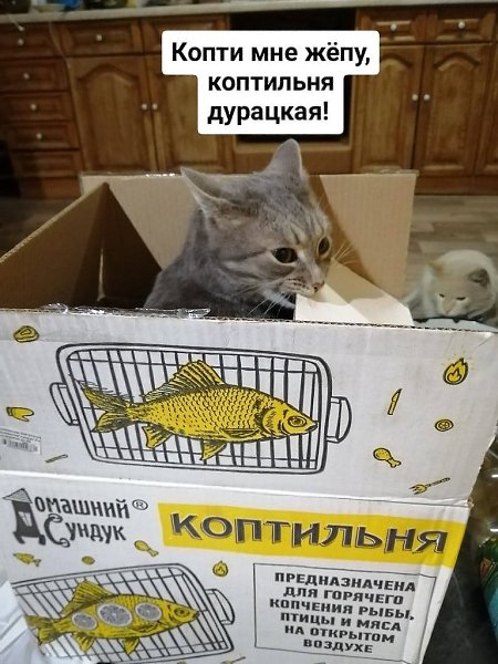    - 29  2024  22:34