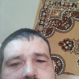 , 33,  