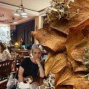 ���� �������, ������, 52 ���� - ��������� 10 ������ 2026 � ������ ���� ����������