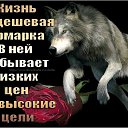 ���� ������, ������, 39 ��� - ��������� 24 ���� 2026 � ������ ���� ����������