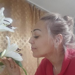 ���� ����, ������ �����, 47 ��� - ��������� 29 ����� 2026