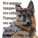 ���� ��������, ������ - ��������� 6 ����� 2025 � ������ ���� ����������