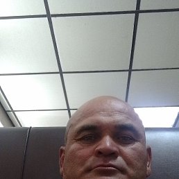  , 49, 