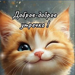 ���� �������� �������, �����������, 51 ��� - ��������� 28 ������� 2025