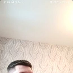, 53, 