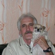 , 66 , 