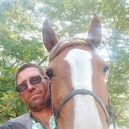 , 41, 