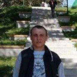 ����, �����������, 36 ���