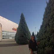 , 37 , 