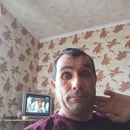 , , 46 
