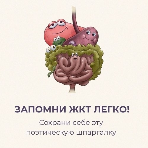 То, что мы едим, и есть мы