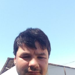  , 33 , 
