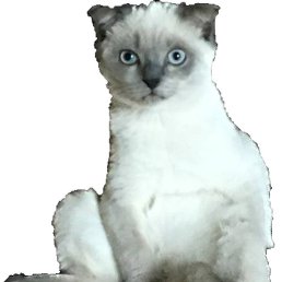 Devobik, �����������, 34 ����