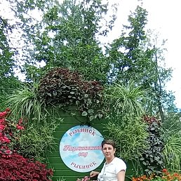 , 49, -
