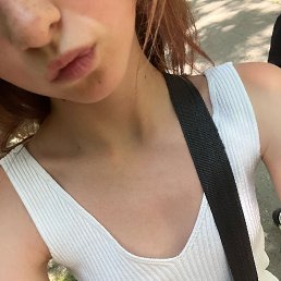 ���� �����, �����������, 41 ��� - ��������� 24 ���� 2026