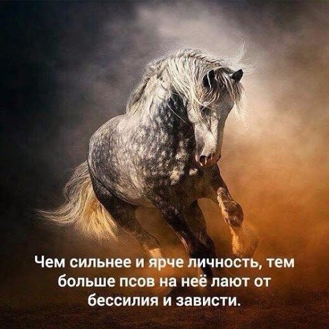 Svetlana     .  svetlana     . ,  ... - 3