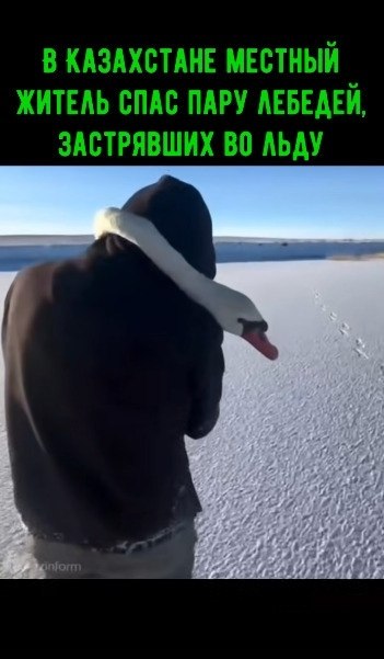 � ���������� ������� ������ ���� ���� �������, ���������� �� ���� �� ����� ���������.����� �� ����� ...