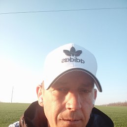 , 44, 