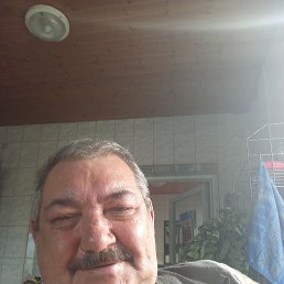 , 61, 