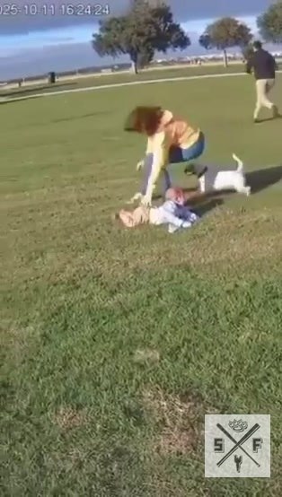      ,    ,       . ... - 2