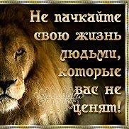 lev, 33 ����, ������