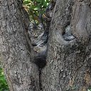 ���� ���, ������ - ��������� 18 ������ 2025 � ������ ������ ��������