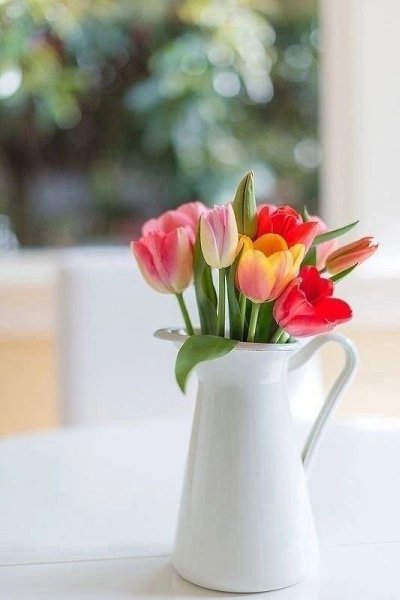 ������� ������ ������ - 6 ������ 2024 � 06:43 - 2