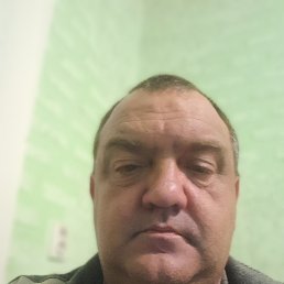 ������, 49 ���, ����