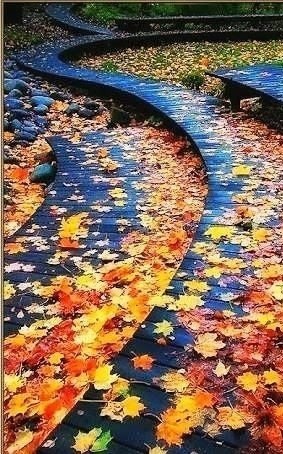 ������� �� �� ������� ��������. ��� � ������� ���, ���� ��� �����������. ������� � ��������� ����...