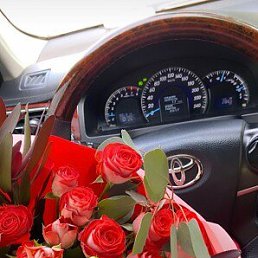 ���� ������, ����, 37 ��� - ��������� 25 ��� 2026