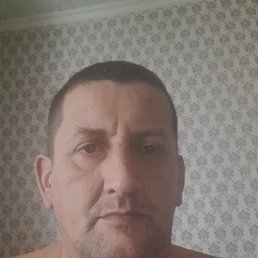 , 44, 