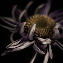 ���� �������, ������ - ��������� 21 ������ 2026 � ������ ������ ��������