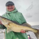 ���� �������, ���������, 48 ��� - ��������� 24 ��� 2024