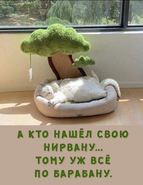 ������� �� �������� �� - 1 �������� 2026 � 21:05