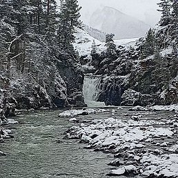 Azik 65, ���������, 45 ���