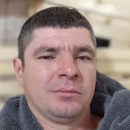 ������, ����, 41 ���