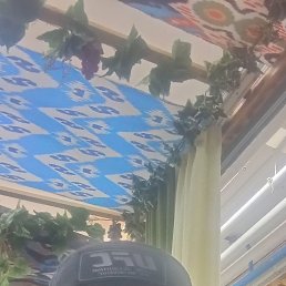 , 31, 