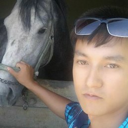 , 33, 