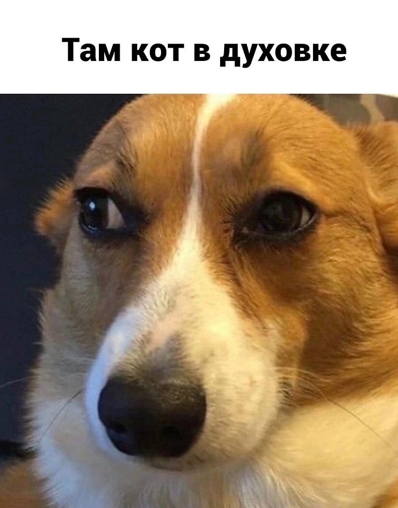���� ������� - 4