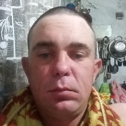 , , 29 